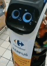 kerfus-4282281002