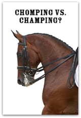 Champing_DS