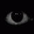 ezgif-1-7d2706cfda