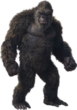 GvK_Kong