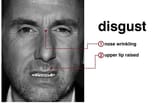 disgust