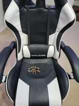 GamingSpider