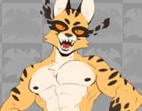 cheetor