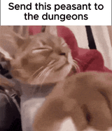 send-this-peasant-to-the-dungeons-cat