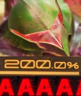 1640964798849