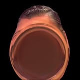 17409527089507891