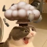 1749165684779540