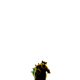 1659901586340