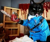 cat williams