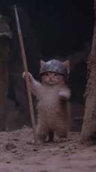 cat_thumb.jpg