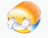 1609040893251
