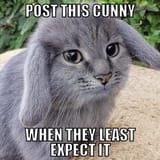 1682936163786331
