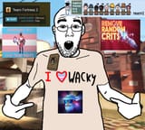 accurate tf2 enjoyer depiction