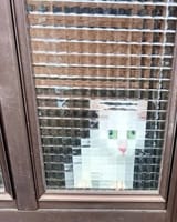 img_1_1750497340987