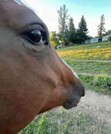 1753804600685274