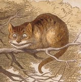 Tennel_Cheshire_proof