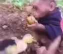 monkey vs duck_thumb.jpg