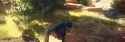 1734799244199986_thumb.jpg