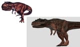 Giganotosaurus