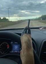 Carol driving 