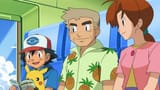 happy pokefamily