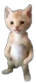 1588296179717