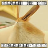 1528390478003
