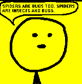 bugs