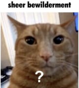 1697825210728