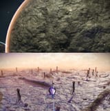 planet seam