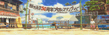 Mika-Stage-Background-Bitmap-GIF-Without-Characters-from-Street-Fighter-Alpha-3-Arcade