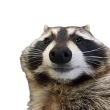 1562171696550