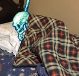 comfy