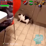 they see me rolling