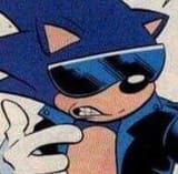 The Cooler Hedgehog