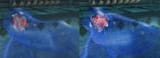 morpha&#039;s ball comparison