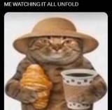 me_watching_it_unfold