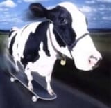 1727279650620430