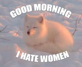 Good Morning
