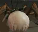 ezgif-2d0c47476dcc63_thumb.jpg