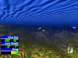 bass64
