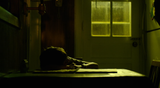 I love this shot