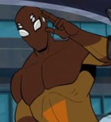 Brown Widow