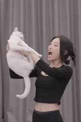 Korean lunchbreak