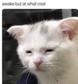 1573498596598