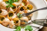 escargots-assiette-couverts-speciaux-1303424576