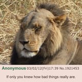 1747348926621922