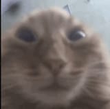 1675452198049232