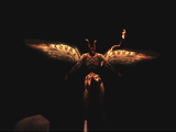 Incubus_Hovering