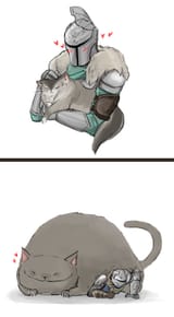 fat_ds_cat
